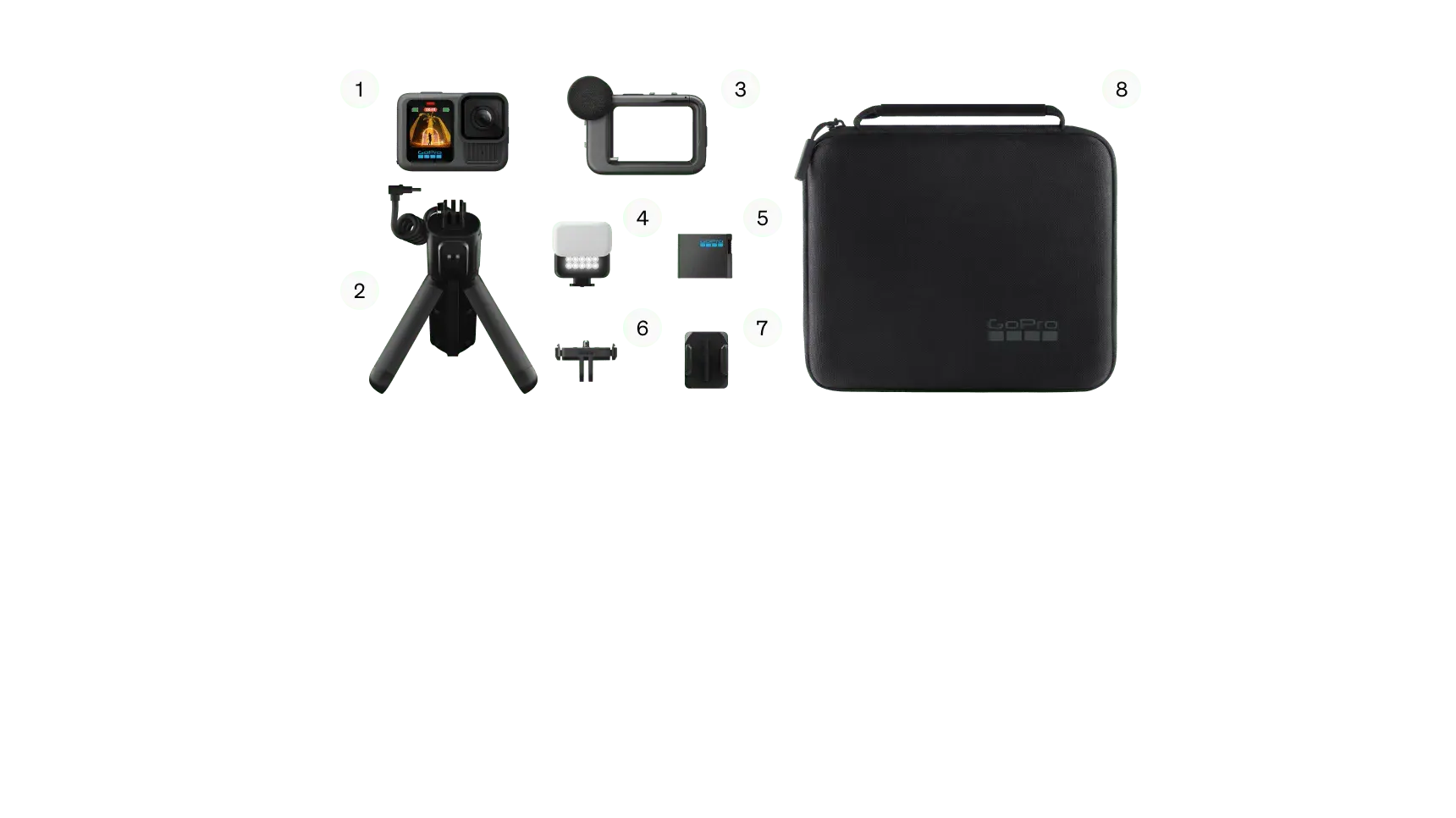 GoPro HERO13 Enforce Records