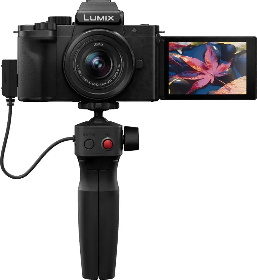 LUMIX G100 Mirrorless Camera Enforce Records
