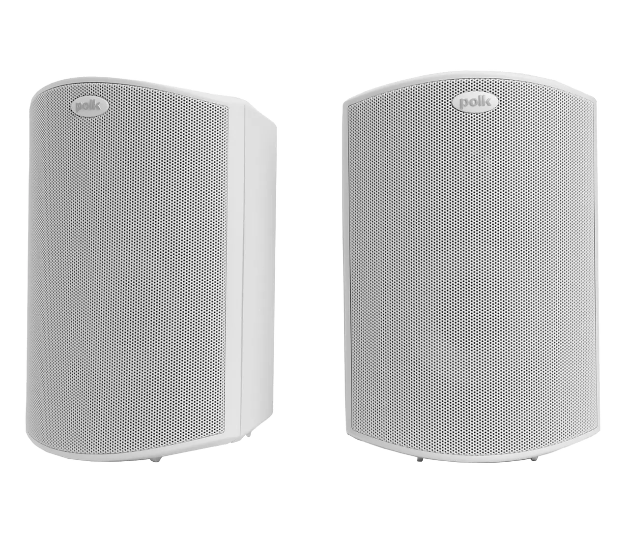 Polk Atrium 4 Enforce Records