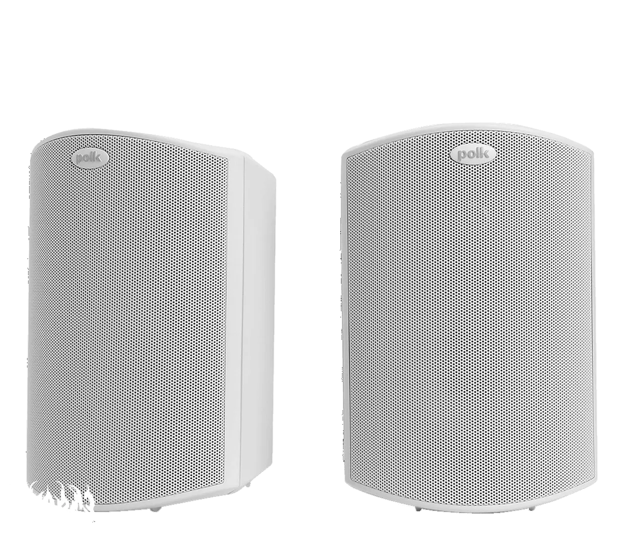 Polk Atrium 5 Enforce Records