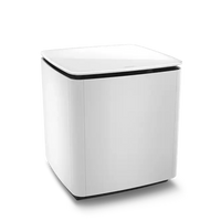 Bose Bass Module 700 Enforce Records