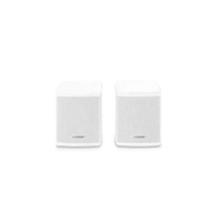 Bose Surround Speakers Enforce Records