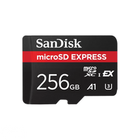 SanDisk microSD Express Card Enforce Records